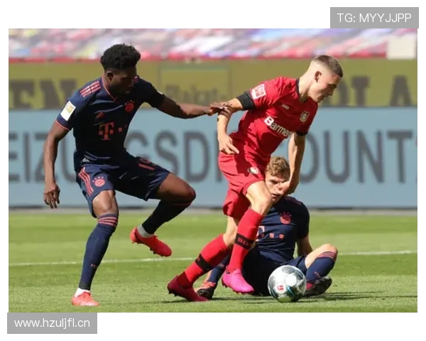 维尔茨大赛表现稳定性分析